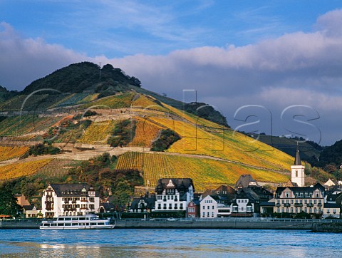 Assmannshausen and the Hollenberg vineyard viewed from across the River Rhine Germany  Rheingau