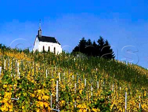 Church above Kirchlay vineyard near Krov Germany     Mosel