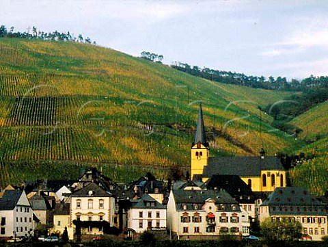 Zeltingen village and church with Schlossberg   vineyard behind  Germany    Mosel