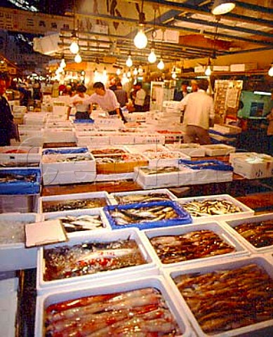 Seafood on sale in the Jobbers retail s shops where   caterers and retailers come between 700  1100 am   Tsukiji Wholesale Market Tokyo