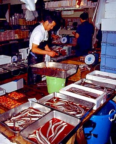 Seafood on sale in the Jobbers retail shops where   caterers and retailers come between 700  1100 am   Tsukiji Wholesale Market Tokyo