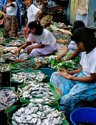 Fish market in Tondo district of Manila Philippines