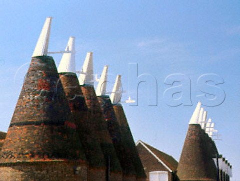 Oast house roofs at the Whitbread Hop Farm   Beltring  Kent