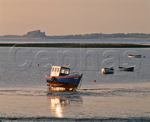 Evening light on boats in Lindisfarne Harbour with Bamburgh Castle in the distance Holy Island Northumberland England
