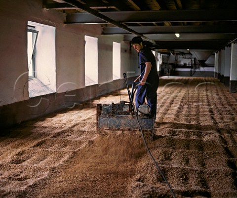 The malting floor of Laphroaig whisky distillery using a rotavator to turn the soaked barley during  germination  Isle of Islay Argyllshire Scotland