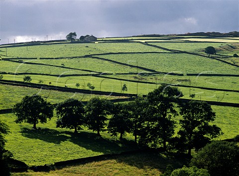 Drystone walls in the Worth Valley near Haworth   Yorkshire