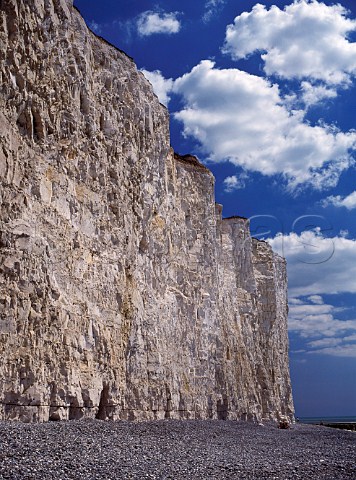 Chalk cliffs of the Seven Sisters at Beachy Head  East Sussex England