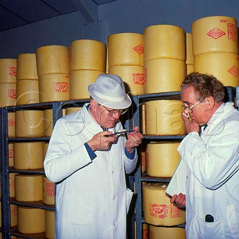 Inspectors from the English County Cheese Council   Visual Taste and Smell testing Dewlay Garstang   Lancashire