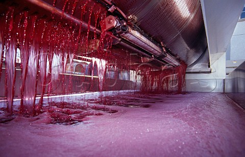 Pinot Noir must draining from the press   Wild Horse Winery Paso Robles San Luis   Obispo Co California USA