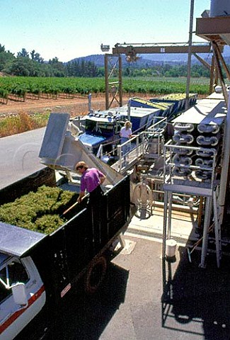 Chardonnay grapes arrive at Chateau StJean Sonoma   Valley California