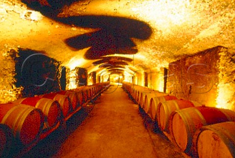 Oak barriques in the cellars of   Chteau la Nerthe ChteauneufduPape   Vaucluse France