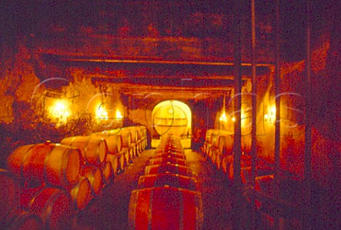 Oak barriques in the cellars of Chateau   la Nerthe Chateauneuf du Pape