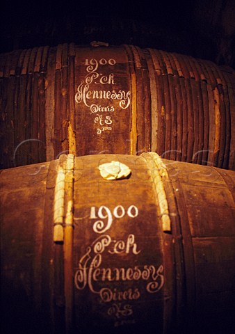 Casks of Cognac dating from 1900 in the   cellars of Hennessy Cognac   CharenteMaritime France