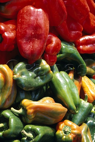 Assorted peppers on market stall Nice France