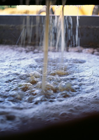 Chardonnay must running from press to make sparkling wine Graham Beck Winery Robertson South Africa   Robertson WO