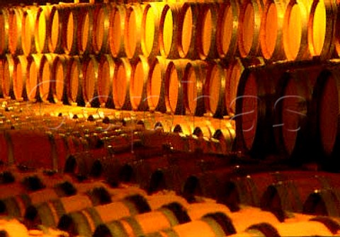 Barrel cellar of Madeba Graham Beck   Winery Robertson Cape Province South   Africa Robertson WO