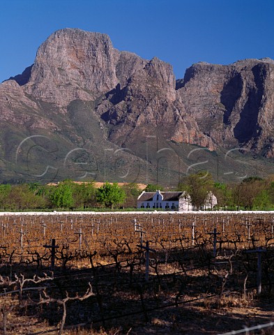 Boschendal Manor House and vineyard in the Groot Drakenstein Valley Franschhoek South Africa Paarl WO
