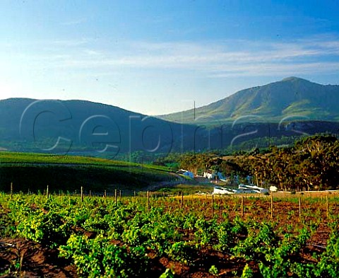 Hamilton Russell Vineyards in the HemelenAarde   Valley near Hermanus Cape Province South Africa    Overberg WO