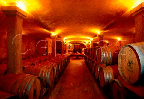 Hamilton Russell Vineyards barrel room   Hermanus Cape Province   South Africa  Overberg WO