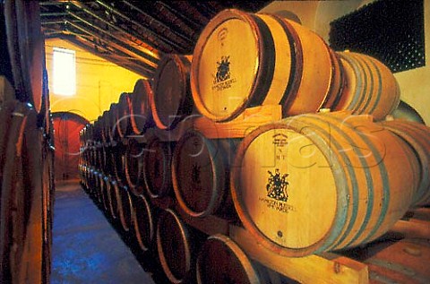 Hamilton Russell Estate barrel cellar   Hermanus Cape Province South Africa