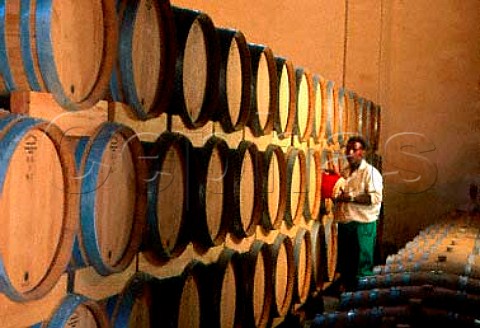 Topping up barrels in the cellar of   HamiltonRussell Estate Hermanus   South Africa    WO Overberg