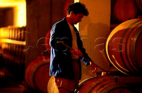 Thelema Mountain Vineyards  Gyles Webb   stirring the lees batonnage in his   barrels  Stellenbosch Cape Province   South Africa
