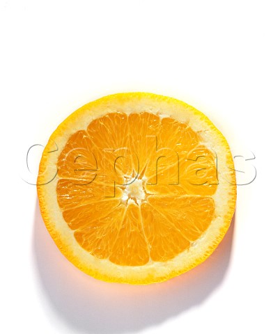 Crosssection of an orange