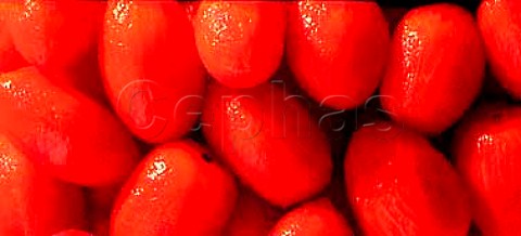 Skinned plum tomatoes