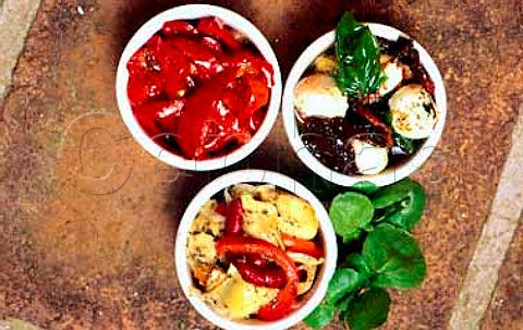 Starters  Red peppers artichoke hearts   and mozzarella balls with sundried   tomatoes and basil