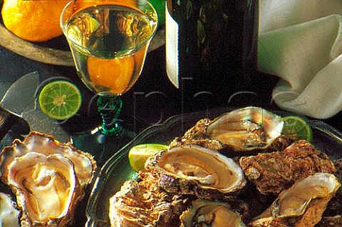 White wine with a plate of oysters