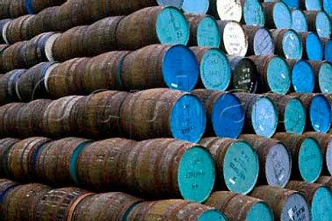 Whisky barrels at the Auchroisk   Distillery makers of The Singleton malt   Banffshire Scotland