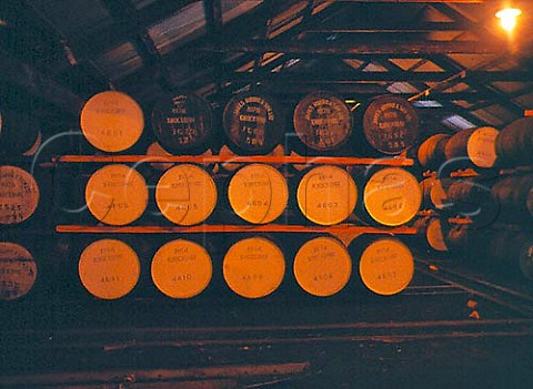 Whisky casks in the warehouse of Knockdhu   Distillery Banffshire Scotland