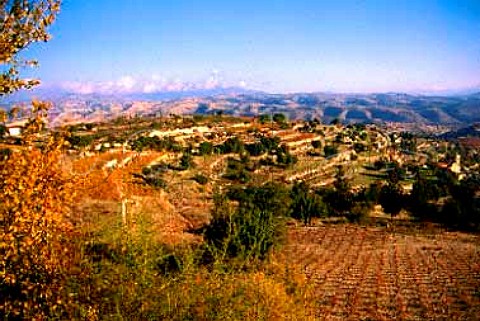 Autumnal vineyards above the deserted   village of Kato Kivides in the foothills   of the Troodos Mountains Cyprus