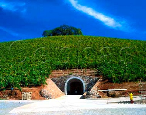 Cellar entrance below Chardonnay vineyard of Kunde   Winery Kenwood Sonoma Co California  Sonoma Valley