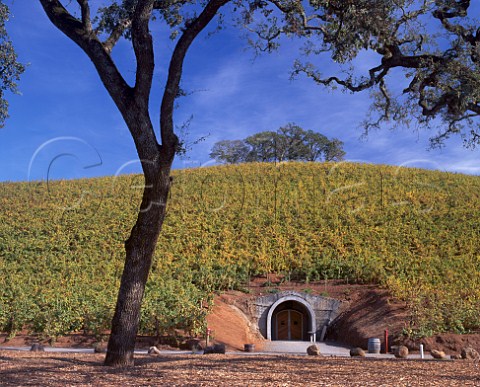 Cellar entrance below vineyard of Kunde Estate   Kenwood Sonoma Valley California