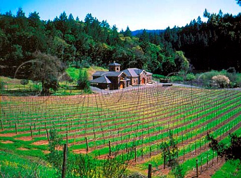 Paoletti vineyards and winery Calistoga Napa   Valley California