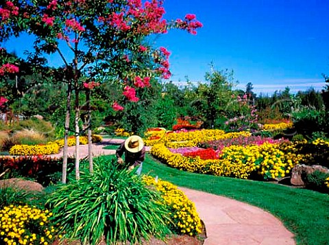 Gardens of Ferrari Carano winery Dry Creek Valley   Sonoma Co California