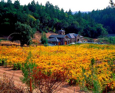 Paoletti Vineyards Calistoga Napa Valley   California