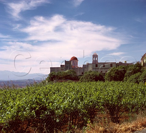 Vineyard by Moni Gonias monastery Kolimvari Crete Greece
