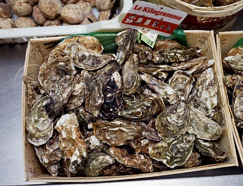 Oysters on sale at a Concarneau market stall  Finistre France    Brittany