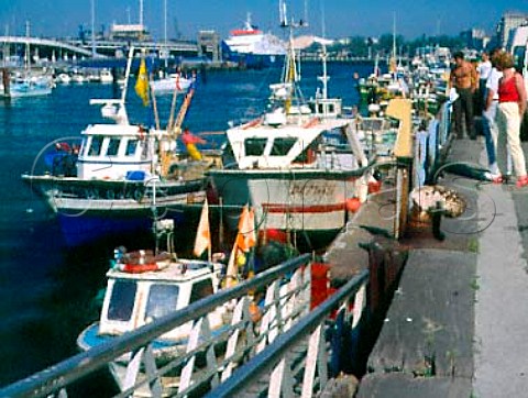 Fishing boats in the harbour of Boulogne   PasdeCalais France