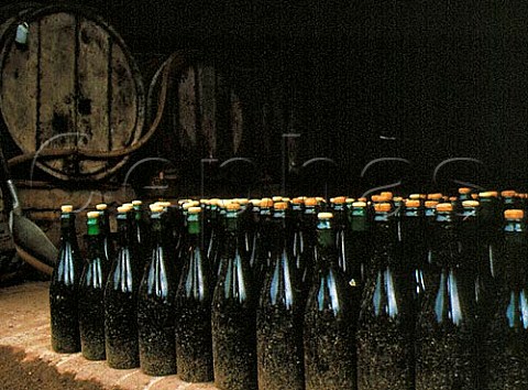 Brut Cider undergoing its final fermentation in bottle Paul Chanu StMartin de Sallen Normandy   France