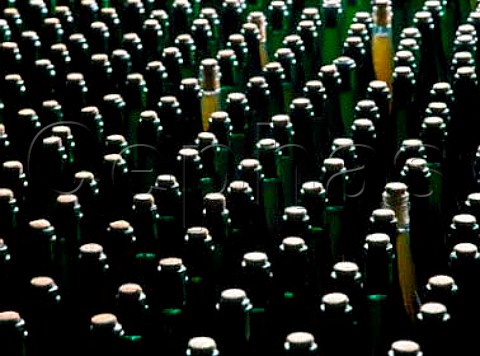 Brut Cider undergoing its final fermentation in bottle Paul Chanu StMartin de Sallen Normandy France