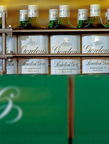 Bottling line for Gordons Gin at the United   Distillers Laindon plant