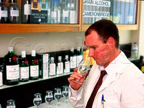 Nosing samples of Gin from the bottling line to   ensure consistency of quality United Distillers   Laindon plant Gordons Tanqueray etc