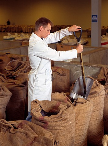 Taking sample of Juniper berries from sack to check the quality United Distillers Gin plant Gordons and Tanqueray Laindon Essex England 