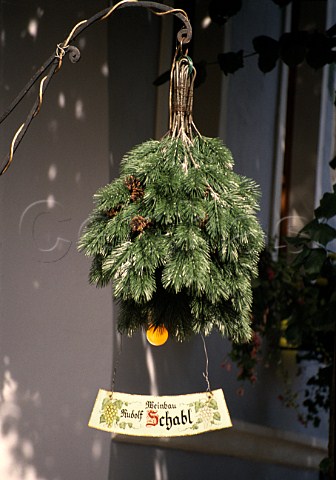 Traditional Heuriger sign of conifer   twigs Gumpoldskirchen Austria   Thermenregion