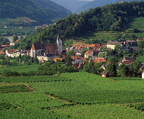 Vineyards around village of Spitz in the   Danube Valley Niedersterreich Austria       Wachau