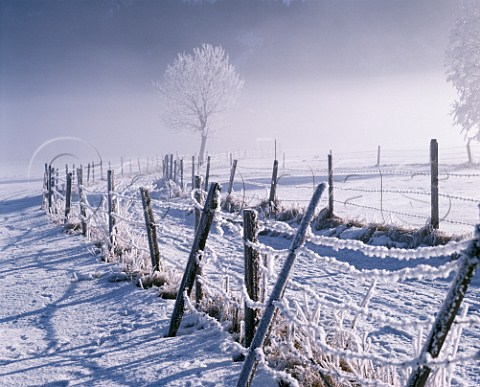 Frost and snow on country road between fields Austria