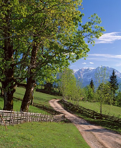 Spring in the Tennengau region Salzburgerland Austria